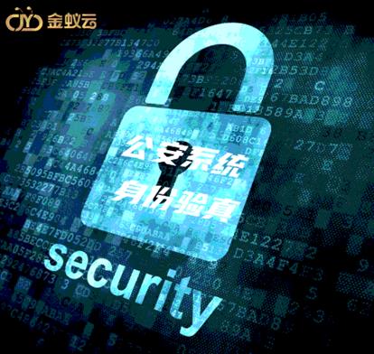 大數(shù)據(jù)對接公安系統(tǒng),高效驗(yàn)真