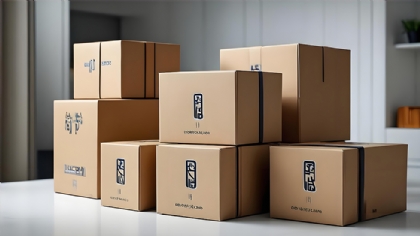 國際快遞風險管控：海關合規指南