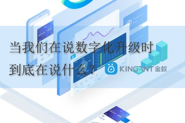 國際物流系統:當我們在說數字化升級時,到底在說什么? 國際物流系統 金蟻云數字化升級