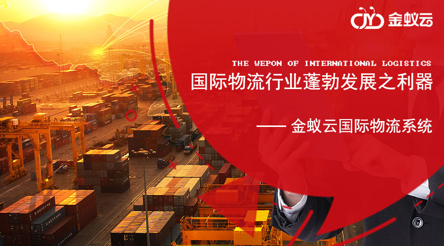 適用于國際物流市場發展的國際物流系統軟件