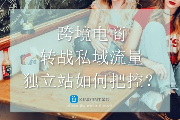 跨境電商轉戰私域流量，獨立站如何把控？